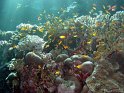 DSC09105 - 050329 - Gota Kebir - Ambiance